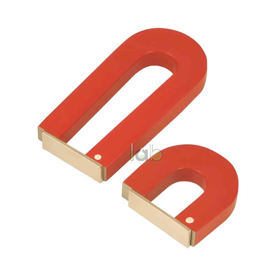 Educational Magnetic Field Magnet